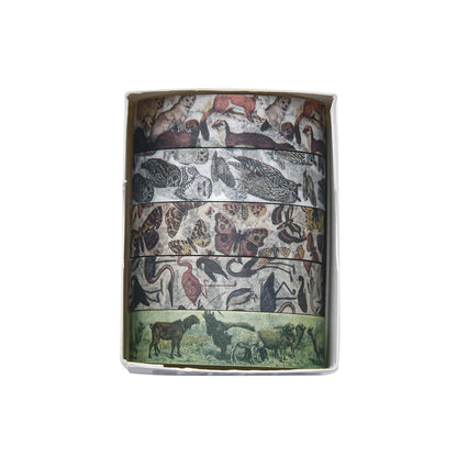 5 Rolls/Box Forest Plant Print Washi Tape Handmade Diy Diary Photo Album Decoration Masking Tape Set
