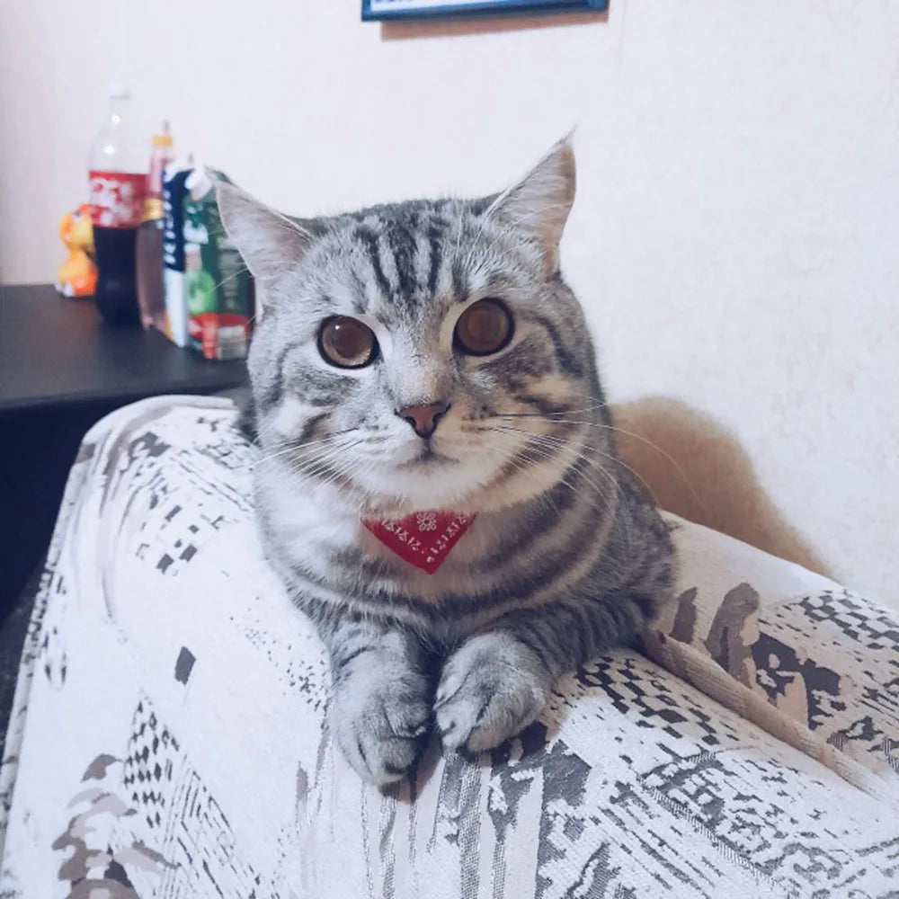 Adjustable Pet Puppy Cat Scarf Bandana Collar Neck Scarf For Small Dogs Kitten Saliva Towel PU Collar with Triangular Bandage