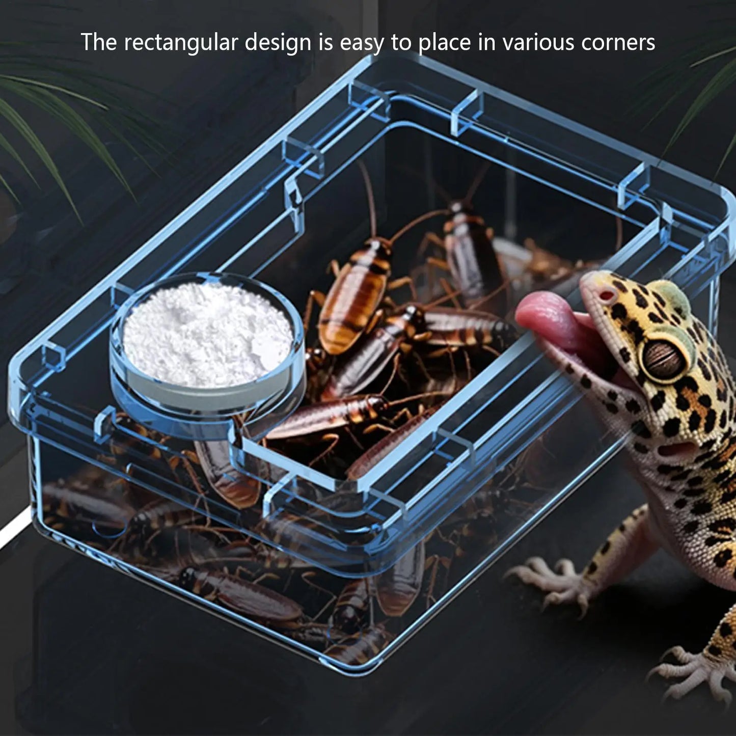 Reptile Lizards Geckos Feeding Bowls Prevent Tenebrio Molitor and Blaptica Dubia Anti Overturning Trough Feeder Transparent