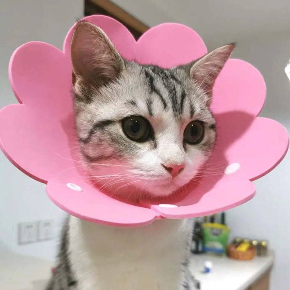 Pets Protective Collar EVA Soft Flower Shape Anti-lick Cats Dogs Wound Healing Protection Cover Anti-bite Animal Supplies
