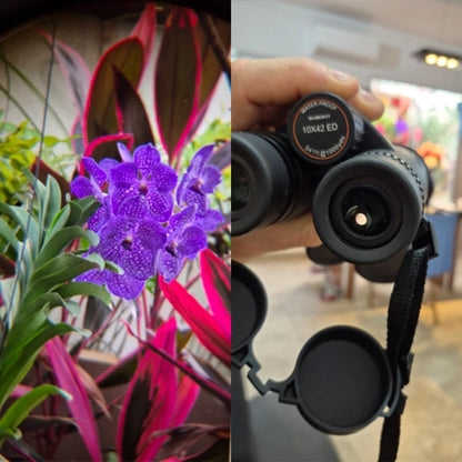 Svbony SV202 Upgraded Wide-angle ED Binoculars 8x32/8x42/10x42 Bak4 Prism IPX7 Waterproof Fogproof for Bird Watching Camping