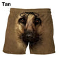 3D Funny Elephant Animal Print Beach Men Shorts Hawaiian Surf Board Short Pants Swim Trunks Women Swimsuit Kid Shorts Pants Y2k