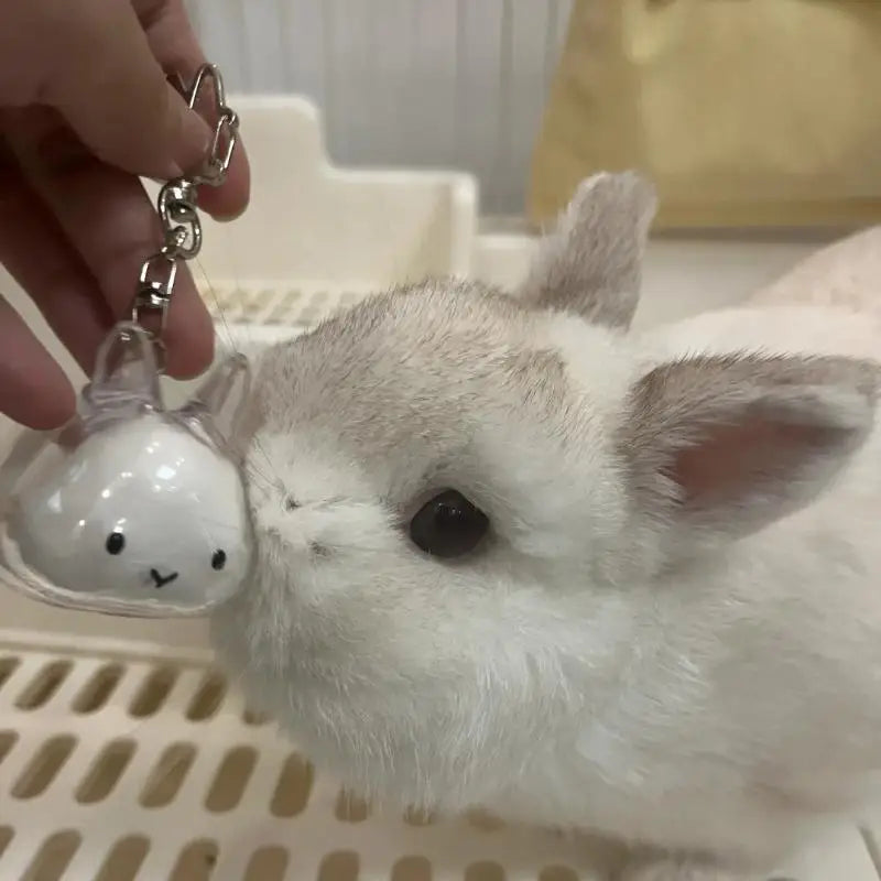Cartoon Pet Hair Memorial Transparent Storage Box Keyring Cute Animal Rabbit Fur Organizer Keychain Bag Pendant Pet Souvenirs