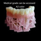 Dentistry Resin Gingival casting Photocuring 3D Printing 405nm Guide Plate Compression mold Dental Mold lcrown Repair Non-toxic