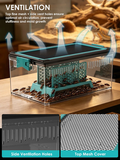 Live Feed Box Set for Bearded Dragons and Chameleons, Suitable for Raising Dubia Roaches and as a Small Reptile Enclosure