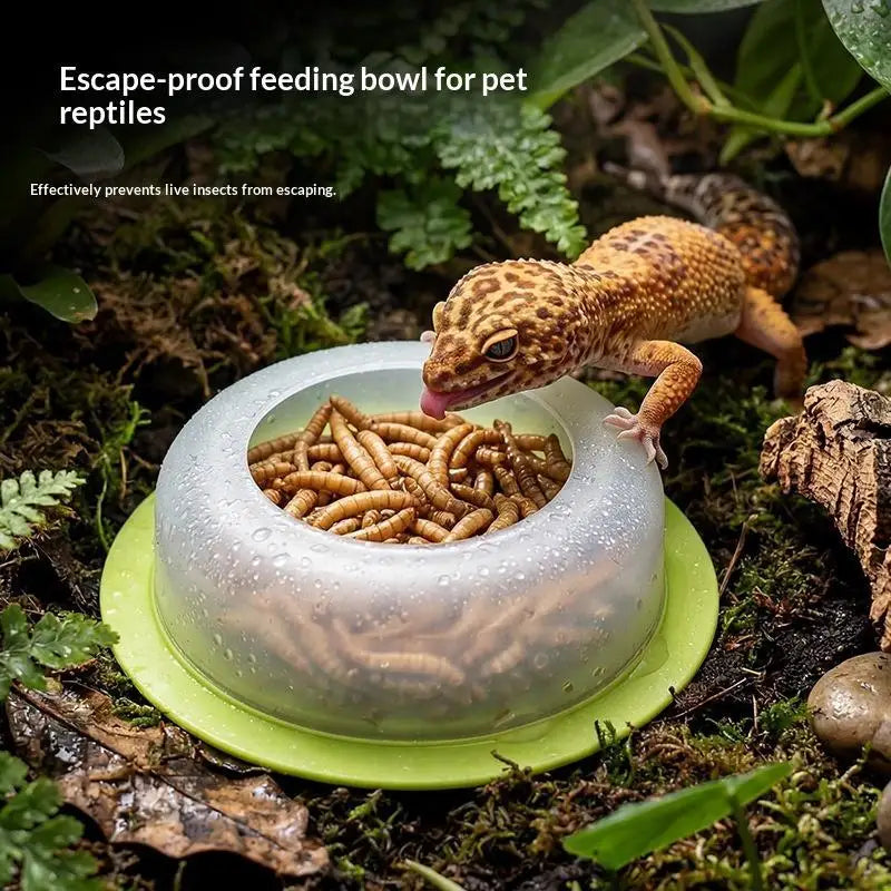 New 1Pcs ABS Reptile Feeding Dish Anti Escape Worm Food Bowl For Lizards Geckos Snakes Turtles Tortoises