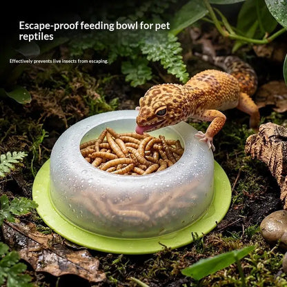 New 1Pcs ABS Reptile Feeding Dish Anti Escape Worm Food Bowl For Lizards Geckos Snakes Turtles Tortoises