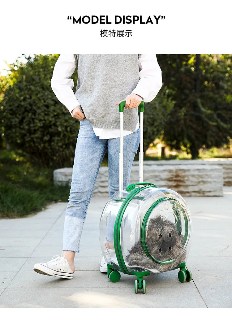 pet trolley case portable dog going out transparent trolley bag large capacity two cats
