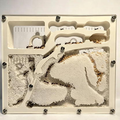 Acrylic DIY Large Ant Farm with Feeding Area Big Ants House Ant Nest Villa Insect Habitat Pet Anthill Ecological Workshop