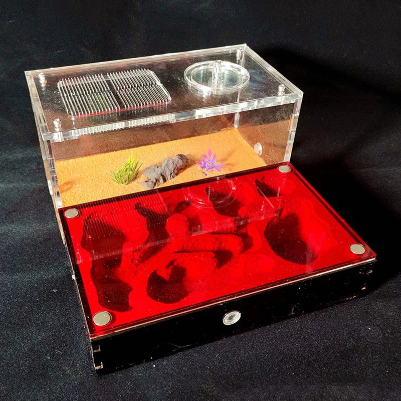 Concrete Ant Farm House Super Large Yellow Mud Ant Nest Gypsum Pet Anthill Insect Castle M Workshop Ant House with Hunting Area