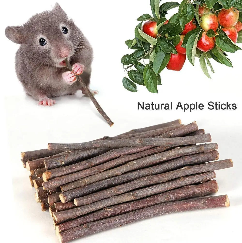 100% Natural Apple Branch Rabbit Chew Sticks Small Pet Chinchillas Netherlands Pig Hamster Bite Molars Clean Teeth Wooden Toys