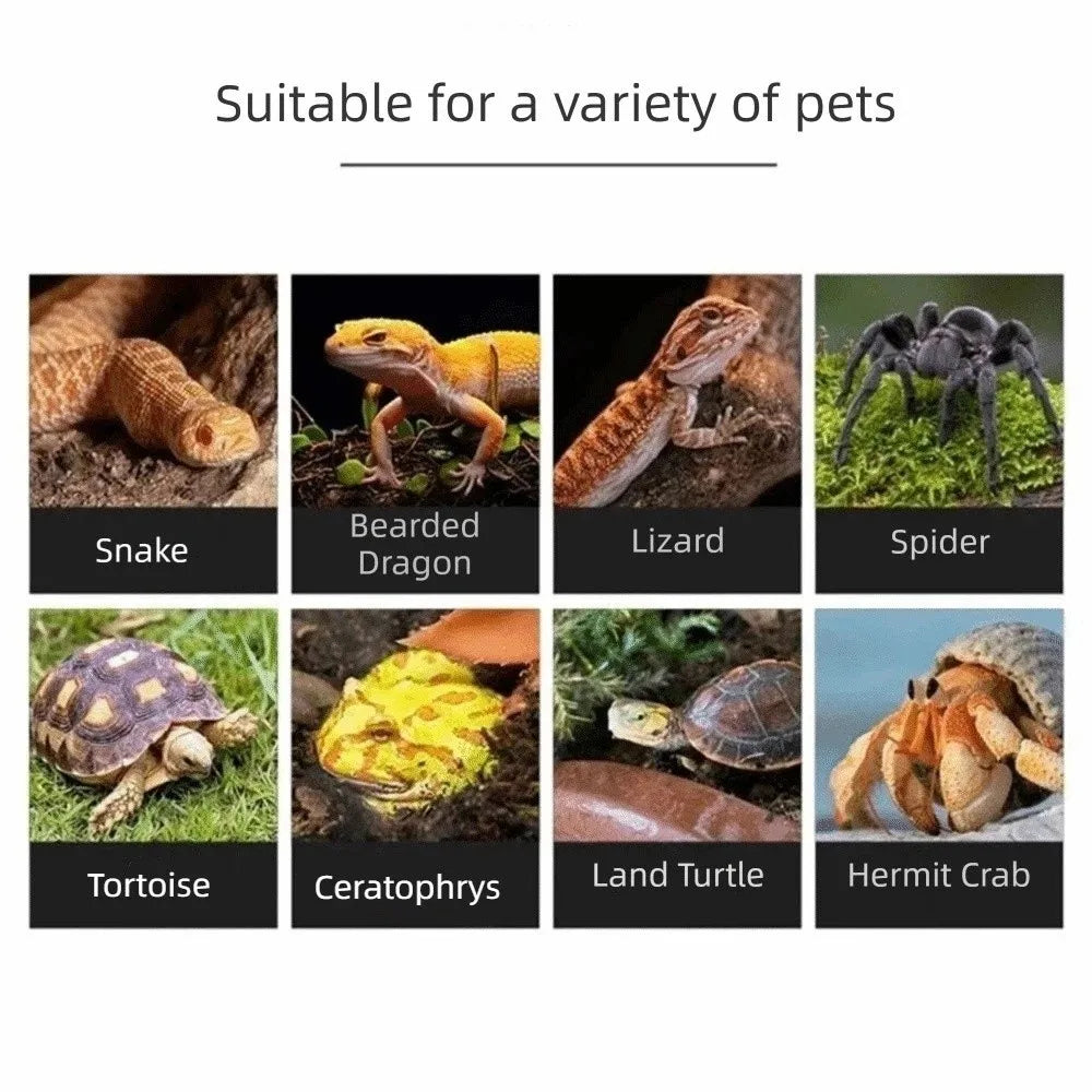 Anti-slip Climbing Pet Food Bowl Easy Clean Realistic Stone Reptile Drinking Water Feeding Tray Safe Durable Reptile Food Bowl