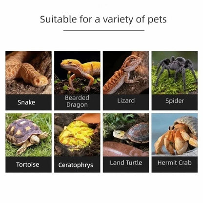Anti-slip Climbing Pet Food Bowl Easy Clean Realistic Stone Reptile Drinking Water Feeding Tray Safe Durable Reptile Food Bowl