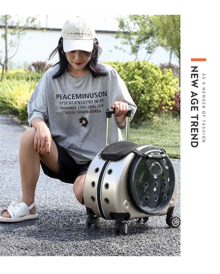 Pet Luggage, Transparent Space Capsule, Multi-purpose Backpack, Cat Bag, Large Capacity, Two Portable Small Dogs, Outdoor Bag