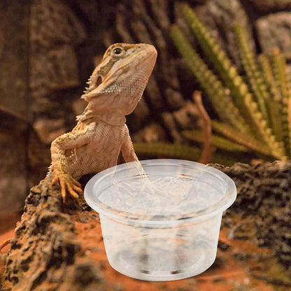 30Pcs Reptile Feeding Dishes Plastic Food Water Bowls for Small Pets Geckos Lizards Snakes Tank Supplies Accessories