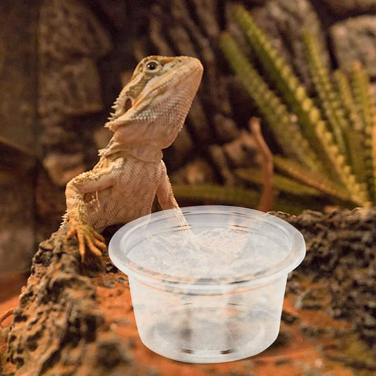 30Pcs Reptile Feeding Dishes Plastic Food Water Bowls for Small Pets Geckos Lizards Snakes Tank Supplies Accessories