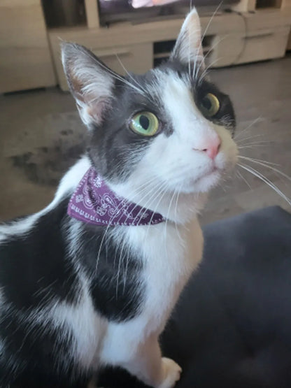 Adjustable Pet Puppy Cat Scarf Bandana Collar Neck Scarf For Small Dogs Kitten Saliva Towel PU Collar with Triangular Bandage