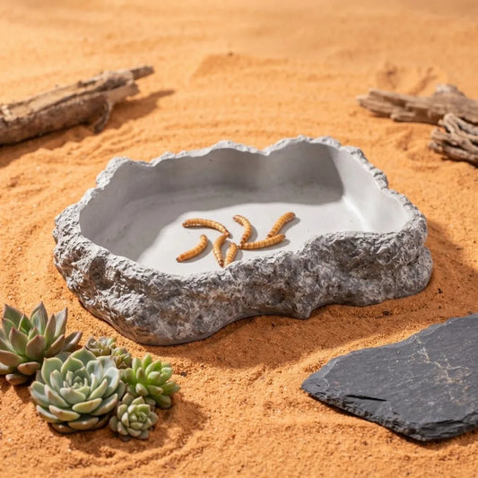 Anti-slip Climbing Pet Food Bowl Easy Clean Realistic Stone Reptile Drinking Water Feeding Tray Safe Durable Reptile Food Bowl