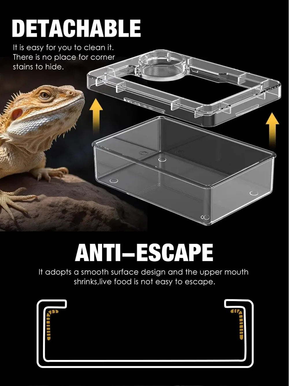 Reptile Lizards Geckos Feeding Bowls Anti Overturning Transparent Water Bowls Anti Escape