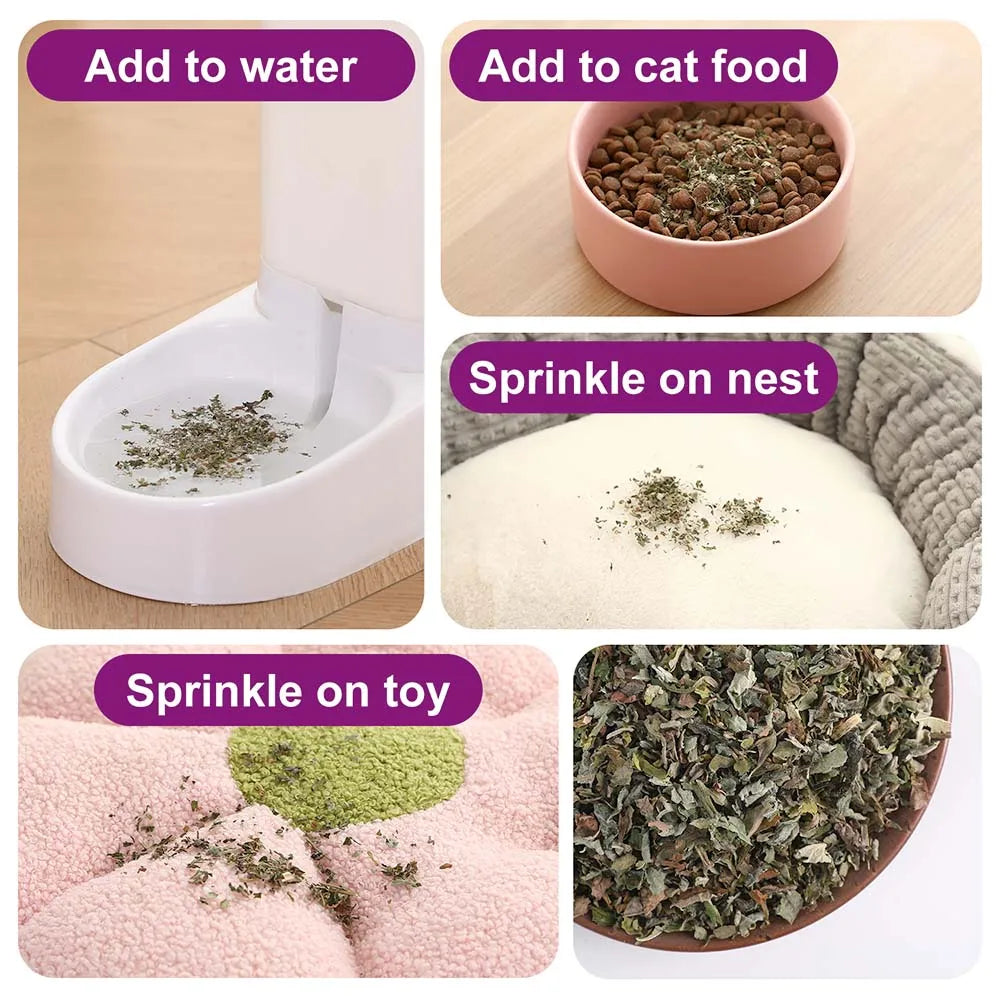 100% Natural Catnip and Pure Catnip for Your Furry Friend Taste Funny Cat Toy New Cat Toy Interactive Cat Toys Pet Supplies