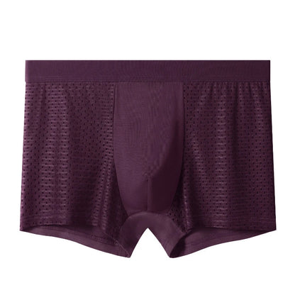 8pcs/set Men's Panties Ice Silk Mesh Men Underwear Breathable Men's Underpant Fashion Panties Male Solid Color Boxer Shorts