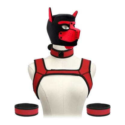 Pet Play Restraint Lingerie Set with Unisex Upper Body Harness Dog Hood Choker for Couple BDSM Fantasy Game Sex Toys