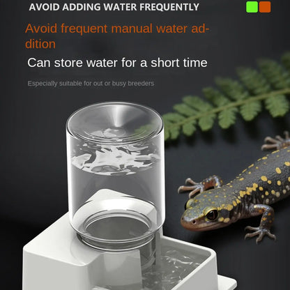Automatic Reptile Feeder Automatic Detachable Reptile Bowl Tortoise Water Dish Gecko Drink Dispenser for Lizard Chameleon Snake