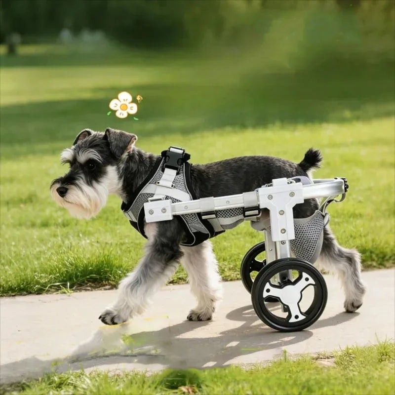 Pet Dog Wheelchair Cart Adjustable Pet Mobility Aid with Wheels Disabled Cat Dog Rehabilitation Walking Mobility Aid Pet Bracket