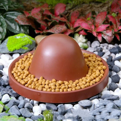 Plastic Reptile Feeder Bowl Round Wear Resistant Turtle Food Dish Escape Proof Wide Mouth Feeder Ledge for Amphibians