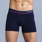 Cotton Print Boxers For Man Underwear Mens Boxer Shorts And Underpants Sexy Men's Panties Plus Size Calecon Homme Brands