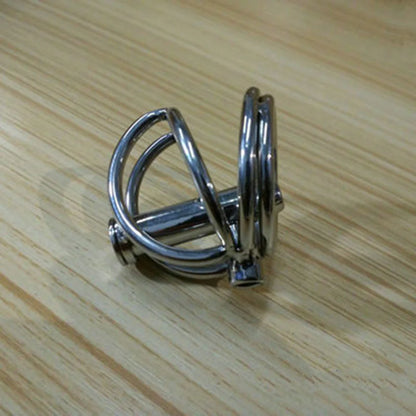 Steel Prince Albert Chastity Cage Male Urethral BDSM Bondage Unique Design Metal Cock Cage Men Cbt Lock Chastity Device