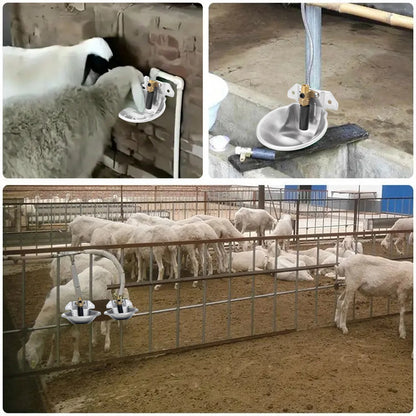 Automatic Goat Sheep Water Drinker Bowl Stainless Steel Lamb Drinker Waterer With Copper Valve Farm Animal Dog Feeding Supplies