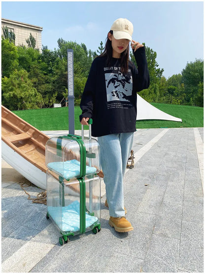 Pet Outdoor Suitcase Portable Car Mounted Double-layer Transparent Breathable Cat and Dog Tour Cat Bag
