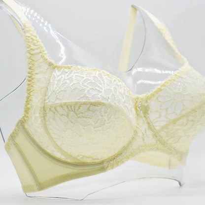 Plus Size Bras For Womens Lace Sexy Bra Perspective Underwire Female Lingerie BH Tops C D DD E F Cup