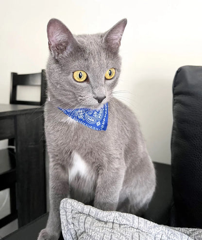 Adjustable Pet Puppy Cat Scarf Bandana Collar Neck Scarf For Small Dogs Kitten Saliva Towel PU Collar with Triangular Bandage