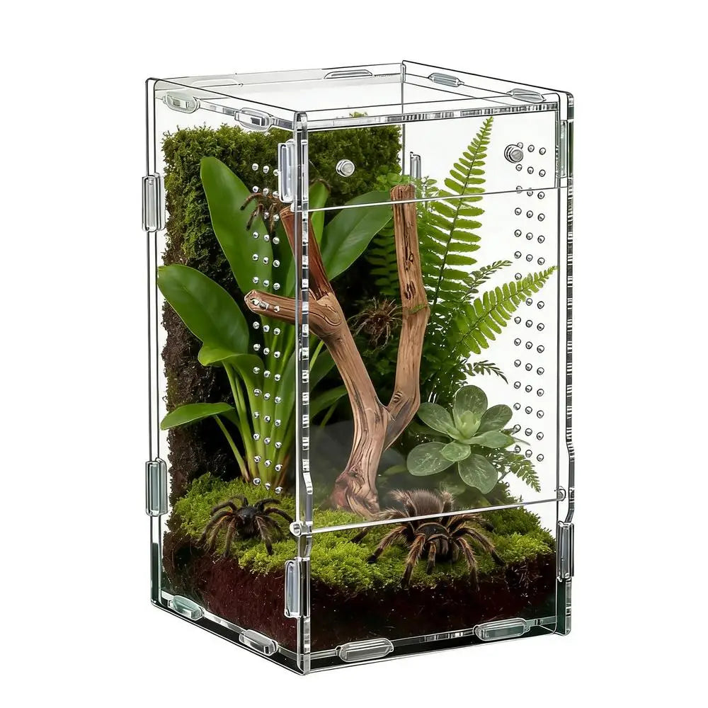 Acrylic Transparent Reptile Terrarium Breeding Box amphibian Cage Nano Arboreal Tarantula Enclosure Jumping spider Reptiles Habi