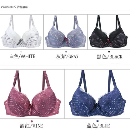 DaiNaFang New Lace Bras 34/75 36/80 38/85 40/90 42/95 44/100 BCDE Underwear For Women Push Up Lingerie