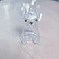 New Clear Puppy Hair Memorial Keepsake Capsule Pet's Dog Fur Container DIY Pendant Keychain Decor Pet Lovers Home Display Gifts