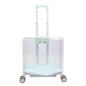 Pet Outdoor Suitcase Portable Car Mounted Double-layer Transparent Breathable Cat and Dog Tour Cat Bag