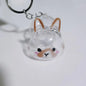 **Cartoon Pet Hair Memorial Transparent Storage Box Keyring Cute Animal Rabbit Fur Organizer Keychain Bag Pendant Pet Souvenirs