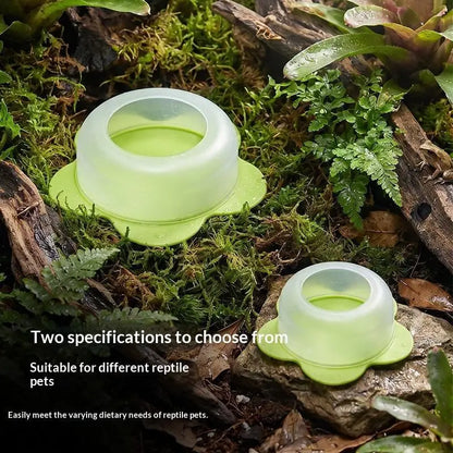New 1Pcs ABS Reptile Feeding Dish Anti Escape Worm Food Bowl For Lizards Geckos Snakes Turtles Tortoises