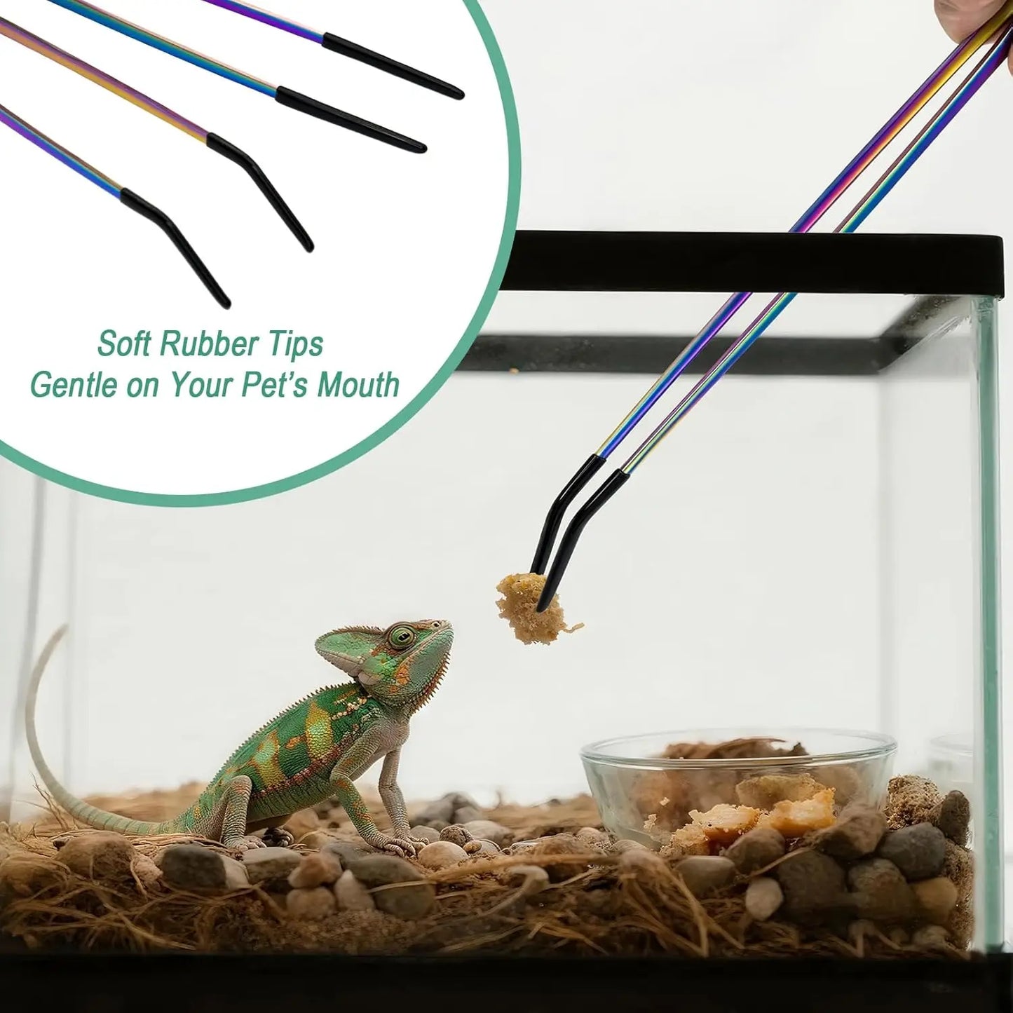 2PCS Stainless Steel Reptile Feeding Tongs with Rubber Tip Terrarium Tank Supplies Straight and Curved Tweezers Accessories