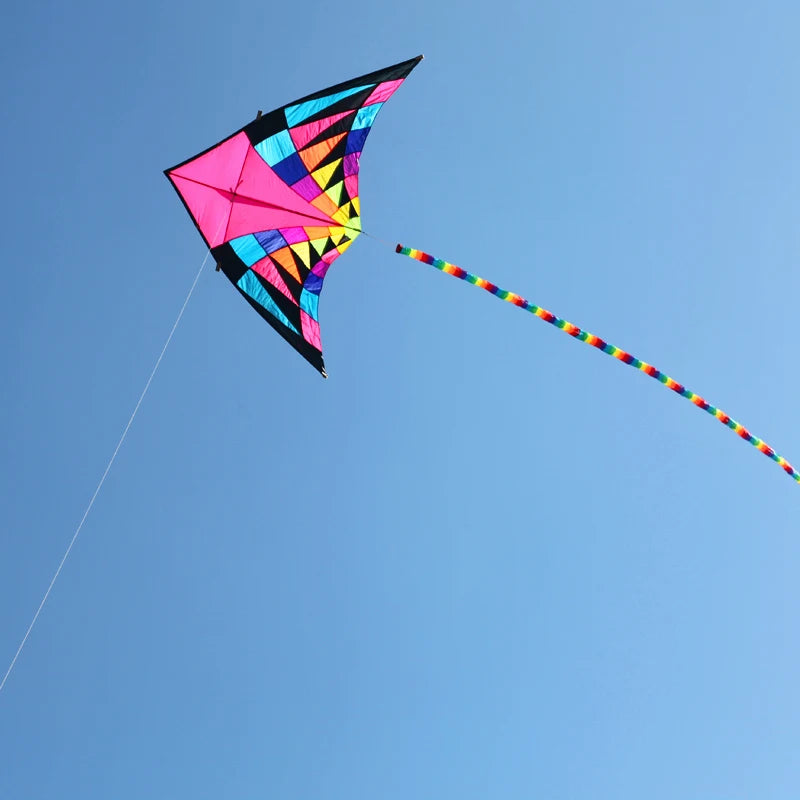 Free shipping large delta kites professional for adults kites flying toys sport kites windsurfing show kites fried flight kites
