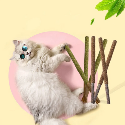 Pet Cat Peppermint Teeth Teeth Teeth Cleaning Bite Stick Teasing Cat Stick Cat Bite Resistant Soothing Snack