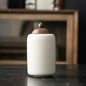 Ceramic Dog Urn Dead Cremation Hair and Teeth Memorial Moisture-proof Cute Cat Urns Sealed Caskets Pet Memorials Products