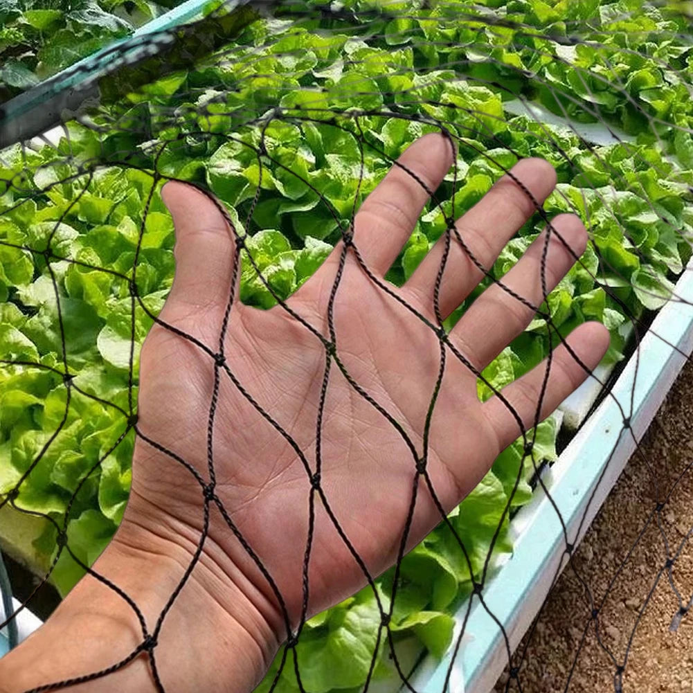 Nylon Bird Net Anti Bird Catcher Netting Pond Fruit Tree Flower Garden Mesh Protective Chicken Coop Pest Control Tool Fishing Ne