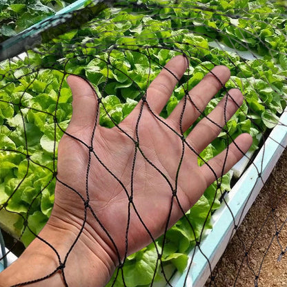 Nylon Bird Net Anti Bird Catcher Netting Pond Fruit Tree Flower Garden Mesh Protective Chicken Coop Pest Control Tool Fishing Ne