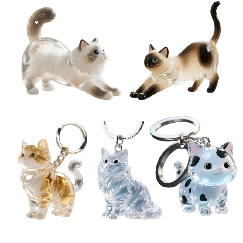 (HB05)Cute Cat Hair Storage Keychain Bag Pendant Transparent Pet Fur Keepsake Capsule Souvenir Collection Gift Decoration