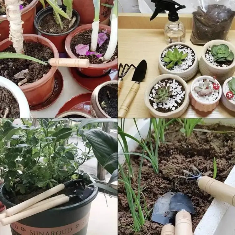 3Pcs Mini Garden Tools Set for Indoor Plants Cactus Vegetables Digging Weeding Flower Pot Small Plants Gardening Kit