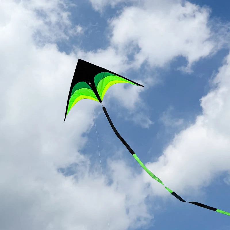 Outdoor Fun Large Delta Kites with 100m Handle Line Flying Toys for Children Kites Outdoor Sports Kites Professional Wind Kites